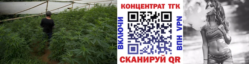 Купить закладки  Камень-на-Оби  Дистиллят ТГК вейп с тгк 